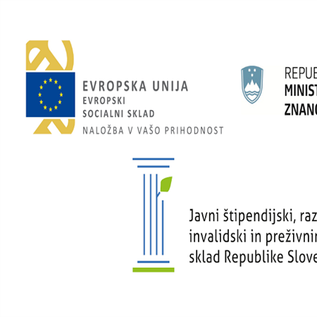 Prijavni obrazec za projekt Kdo je raziskovalec / raziskovalka?
