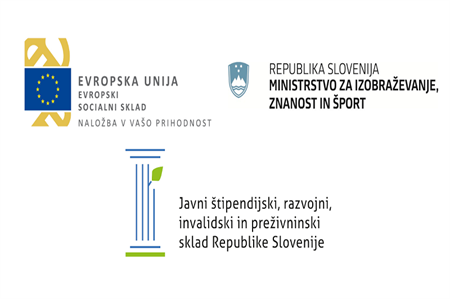 Prijavni obrazec za projekt Kdo je raziskovalec / raziskovalka?