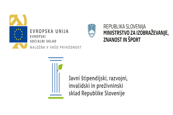 Prijavni obrazec za projekt Kdo je raziskovalec / raziskovalka?