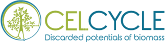 CEL.CYCLE